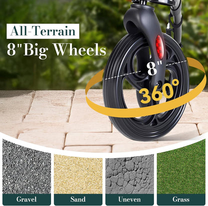 3 Wheel Walkers for Seniors