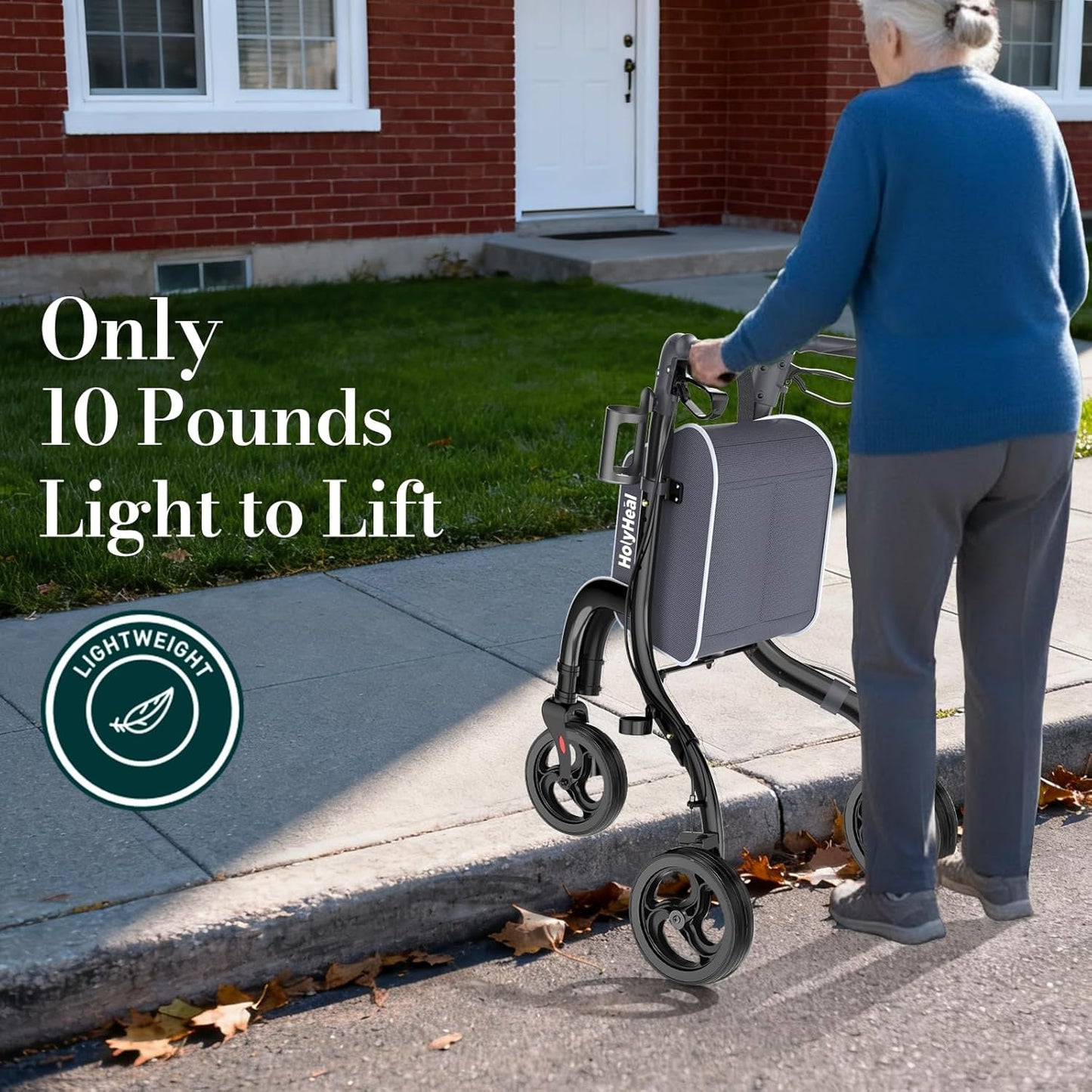 3 Wheel Walkers for Seniors